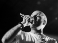 Akhenaton,Excalibur, Vendredi, Roi Arthur 2015, Nico M Photographe-7
