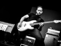 Albatross - Nico M Photographe-4