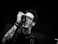 Albatross - Nico M Photographe