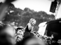 ambiance - Nico M Photographe (45)