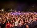 ambiance samedi, Nico M Photographe-11