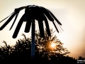 deco - Nico M Photographe-3