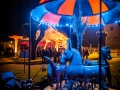 ambiance, cirque ou presque 2016, Nico M Photographe-5