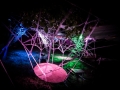 ambiance, Nico M Photographe-3