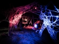 ambiance, Nico M Photographe-4