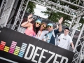 ambiance, Vieilles Charrues 2017, Nico M Photographe-15