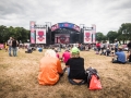 ambiance, Vieilles Charrues 2017, Nico M Photographe-21