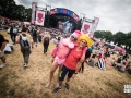 ambiance, Vieilles Charrues 2017, Nico M Photographe-22