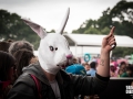 ambiance, Vieilles Charrues 2017, Nico M Photographe-25