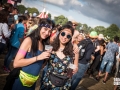 ambiance, Vieilles Charrues 2017, Nico M Photographe-29