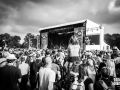 ambiance, Vieilles Charrues 2017, Nico M Photographe-32