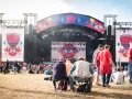 ambiance, Vieilles Charrues 2017, Nico M Photographe-37