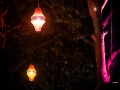 ambiance - Nico M Photographe-12