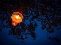 ambiance - thabor - Nico M Photographe-16