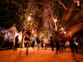 ambiance - thabor - Nico M Photographe-18