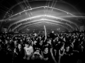 ambiance, vendredi, Nico M Photographe-15