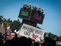 ambiance,Vieilles Charrues, dimanche, Nico M Photographe-8