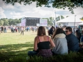 ambiance,Vieilles Charrues, jeudi, Nico M Photographe-14
