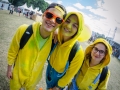 ambiance,Vieilles Charrues, vendredi, Nico M Photographe-10