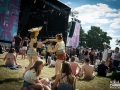 ambiance,Vieilles Charrues, vendredi, Nico M Photographe-12
