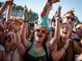 ambiance,Vieilles Charrues, vendredi, Nico M Photographe-21