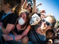 ambiance,Vieilles Charrues, vendredi, Nico M Photographe-23