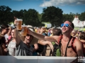 ambiance,Vieilles Charrues, samedi, Nico M Photographe-10