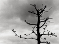 amsterdam argentique, Nico M Photographe-19