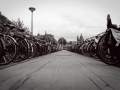 amsterdam argentique, Nico M Photographe-23