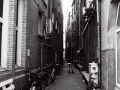 amsterdam argentique, Nico M Photographe-3