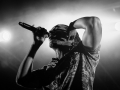 Dub Inc,samedi, Art Sonic 2014, Nico M Photographe-10