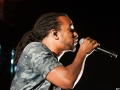 Dub Inc,samedi, Art Sonic 2014, Nico M Photographe-4