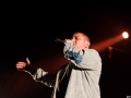 Dub Inc,samedi, Art Sonic 2014, Nico M Photographe