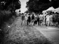 camping,Vendredi, Art Sonic 2014, Nico M Photographe-10