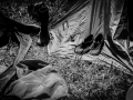 camping,Vendredi, Art Sonic 2014, Nico M Photographe-3
