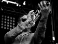 Mad Caddies,Vendredi, Art Sonic 2014, Nico M Photographe-11