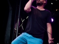 Mad Caddies,Vendredi, Art Sonic 2014, Nico M Photographe-12