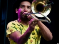 Mad Caddies,Vendredi, Art Sonic 2014, Nico M Photographe-13