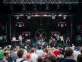 Mad Caddies,Vendredi, Art Sonic 2014, Nico M Photographe-14