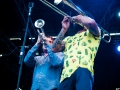 Mad Caddies,Vendredi, Art Sonic 2014, Nico M Photographe-2