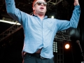Mad Caddies,Vendredi, Art Sonic 2014, Nico M Photographe-6