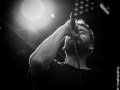 Mad Caddies,Vendredi, Art Sonic 2014, Nico M Photographe-8