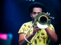 Mad Caddies,Vendredi, Art Sonic 2014, Nico M Photographe