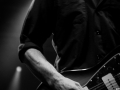 Pungles Lions,Vendredi, Art Sonic 2014, Nico M Photographe-12