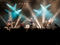 Pungles Lions,Vendredi, Art Sonic 2014, Nico M Photographe-13
