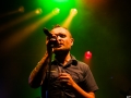 Pungles Lions,Vendredi, Art Sonic 2014, Nico M Photographe-4