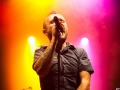 Pungles Lions,Vendredi, Art Sonic 2014, Nico M Photographe-8