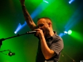 Pungles Lions,Vendredi, Art Sonic 2014, Nico M Photographe