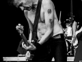 Sugar and tiger,Vendredi, Art Sonic 2014, Nico M Photographe-17