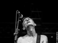 Sugar and tiger,Vendredi, Art Sonic 2014, Nico M Photographe-9